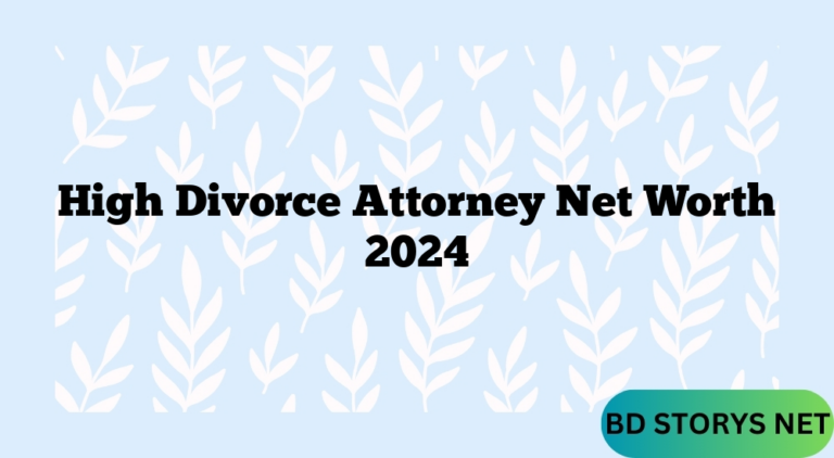 High Divorce Attorney Net Worth 2024