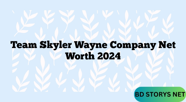 Team Skyler Wayne Company Net Worth 2024